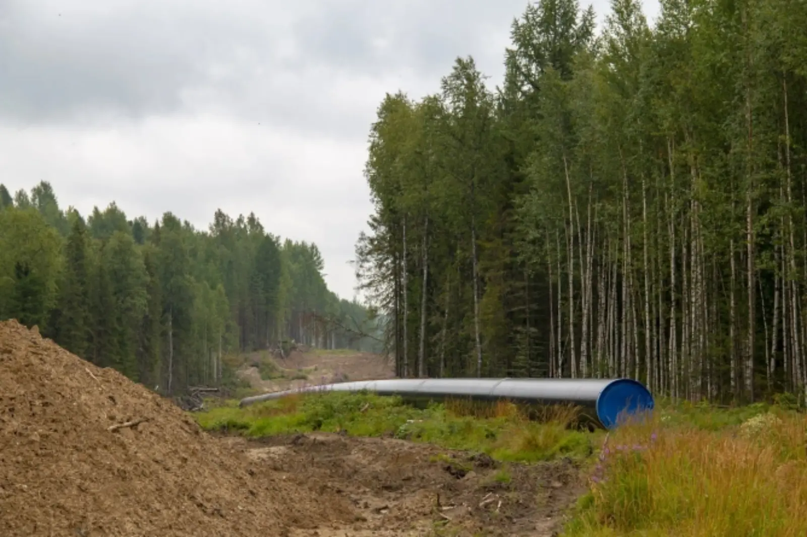 Gigantul japonez Kawasaki testează în România o tehnologie care ar putea schimba transportul energiei în Europa